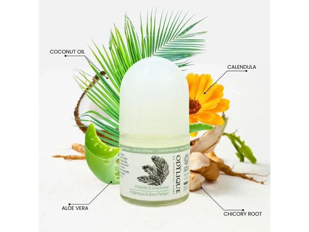 Odylique prebiotický deodorant bez vůně s kokosovým olejem, aloe vera a měsíčkem, ideální pro citlivou pokožku.